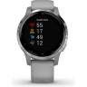Часы GARMIN VIVOACTIVE 4S POWDER GRAY/SILVER 10488